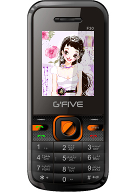 GFive F30 Price – GFive F30 Mobile Features